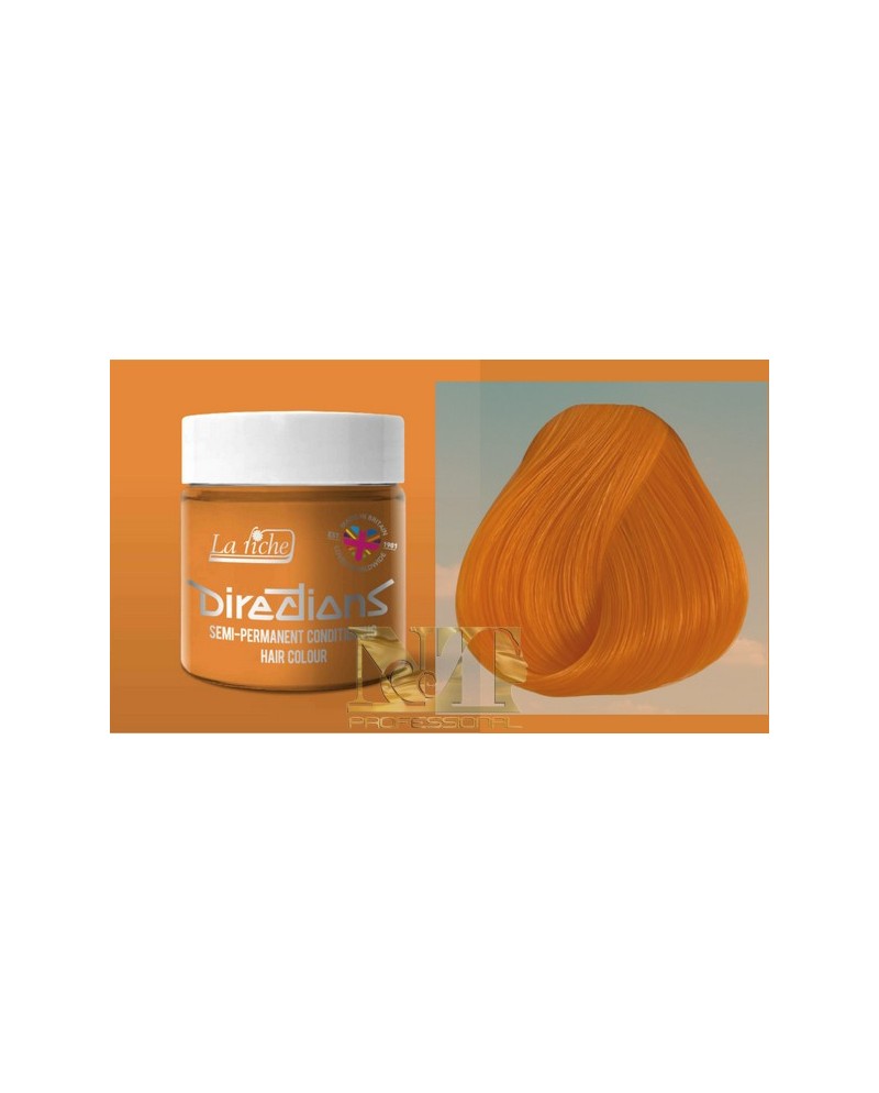 DIRECTIONS DEMIPERMANENT COLOR 19 APRICOT 100 ML