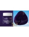 DIRECTIONS DEMIPERMANENT COLOR 61 DEEP PURPLE 100 ML
