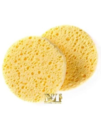 XANITALIA  SPUGNE IN  CELLULOSA 2 PZ