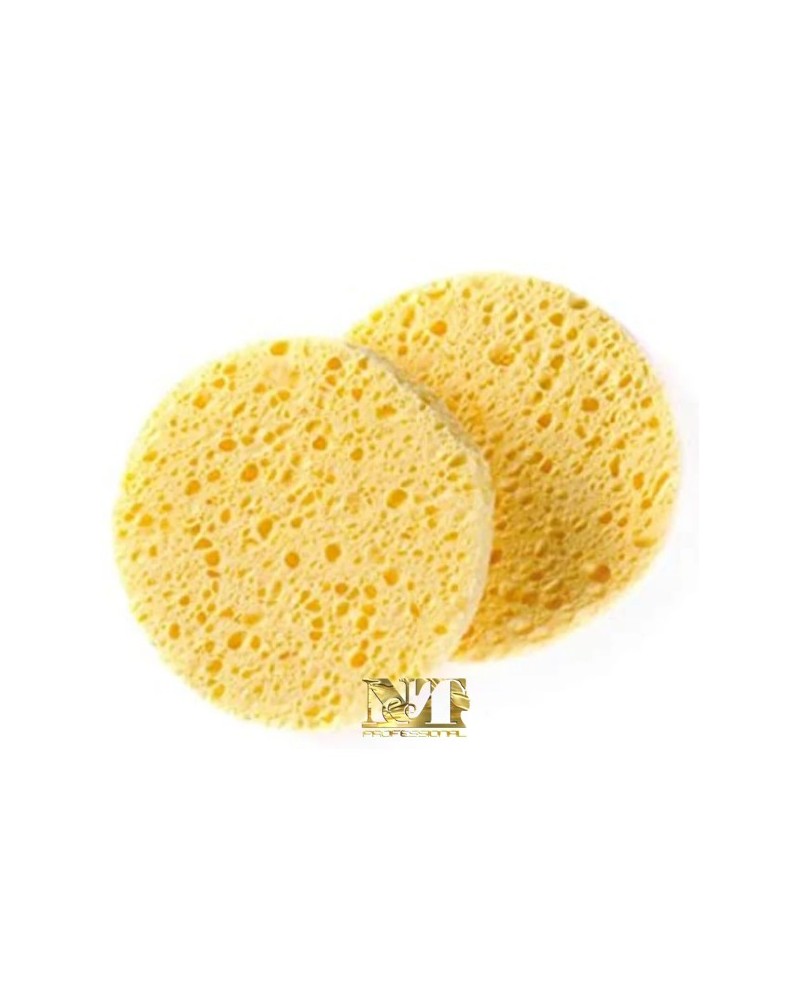 XANITALIA  SPUGNE IN  CELLULOSA 2 PZ