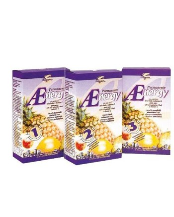 ELGON AENERGY PERM. N° 0 CAP. FORTI