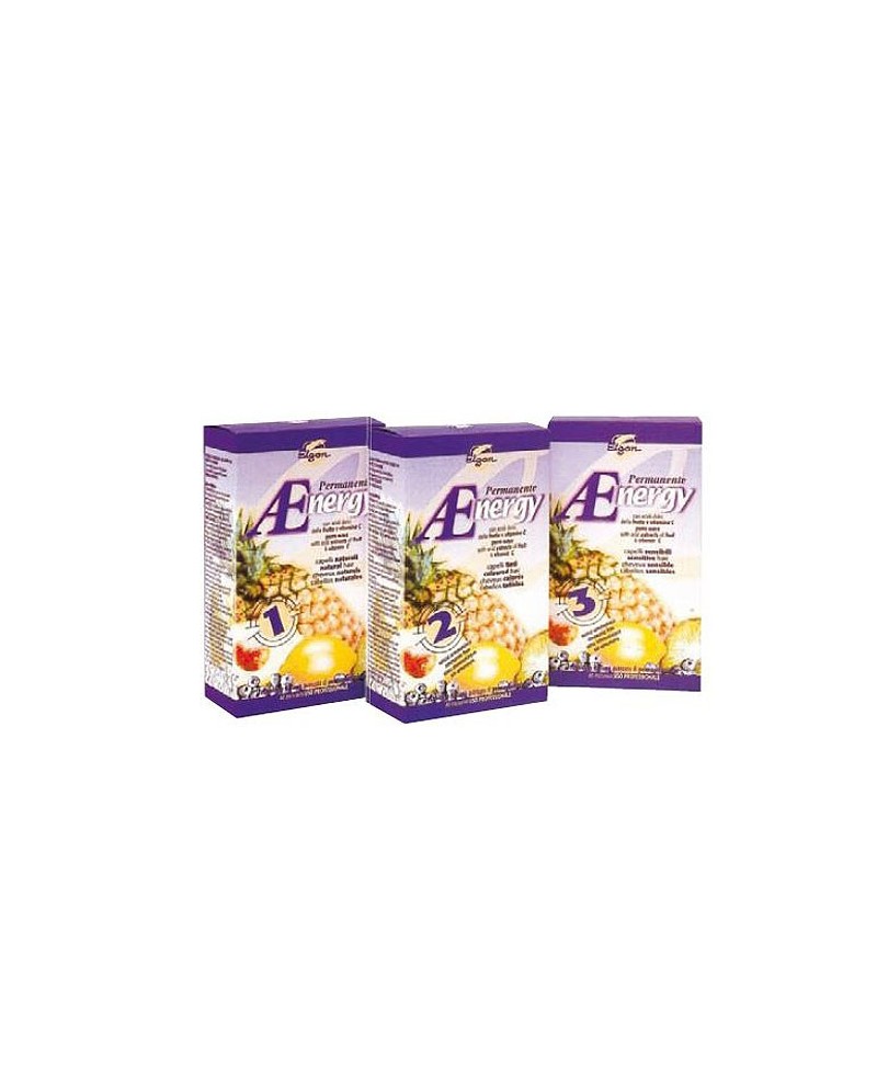 ELGON AENERGY PERM. N° 0 CAP. FORTI
