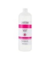 PARISIENNE SOLVENTE CLASSICO 1000 ML