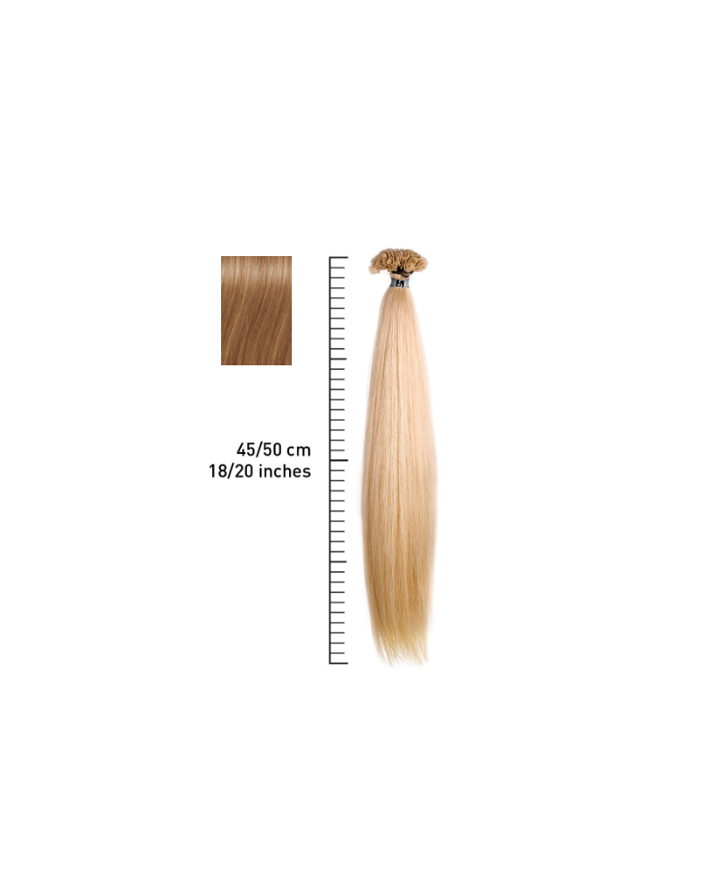 SHE EXTENSION C/CHERATINA LISCIO CM 45/50 COL 19 CONF 10 PZ