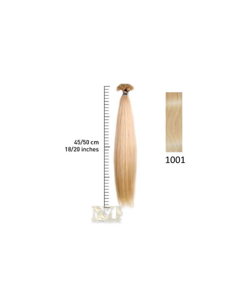 SHE EXTENSION C/CHERATINA LISCIO CM 45/50 COL 1001 CONF 10 PZ