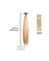 SHE EXTENSION C/CHERATINA LISCIO CM 45/50 COL 1001 CONF 10 PZ