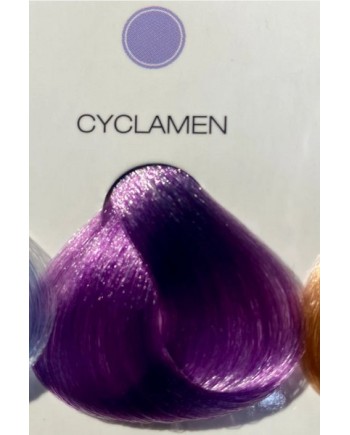 BLEACH & COLOR 80GR. CYCLAMEN