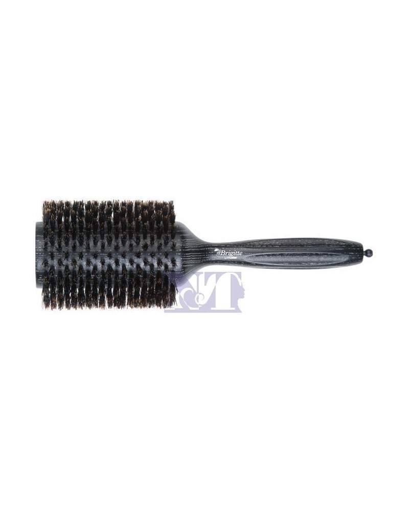 MUSTER SPAZZOLA BRIGITTE  ROLLER IN SETOLA D 50