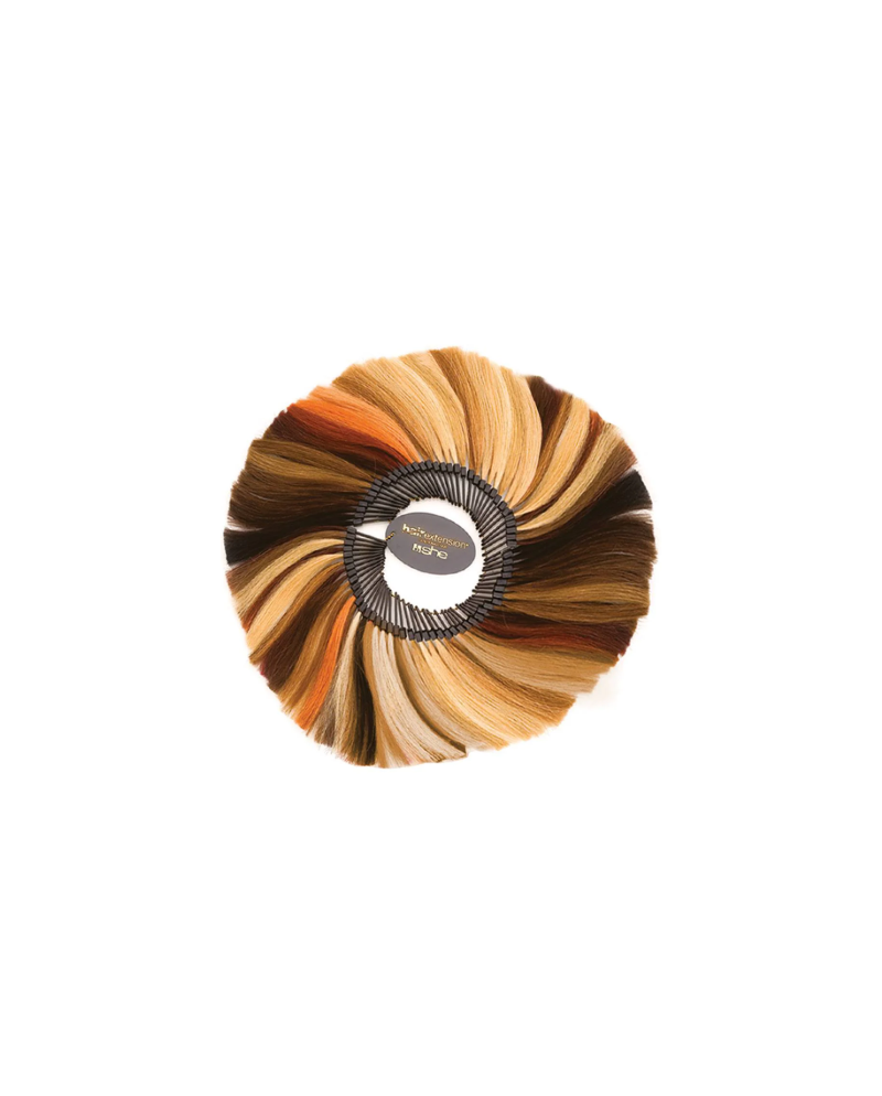 SHE CAMPIONARIO COLORI 60 NUANCE BALAYAGE OMBRE ROOTEDCLASSIC