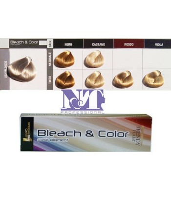 BLEACH & COLOR 80 GR. ASH BLONDE