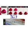 BLEACH & COLOR 80 GR. VIOLET MAGENTA