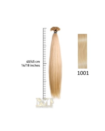 SHE EXTENSION C/CHERATINA LISCIO CM 40/45 COL.1001 CONF 10 PZ