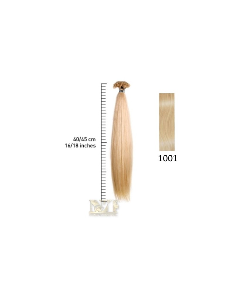 SHE EXTENSION C/CHERATINA LISCIO CM 40/45 COL.1001 CONF 10 PZ