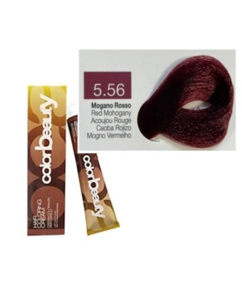 COLOR BEAUTY 100 ML N° 5.56