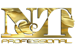 NT Professional logo
